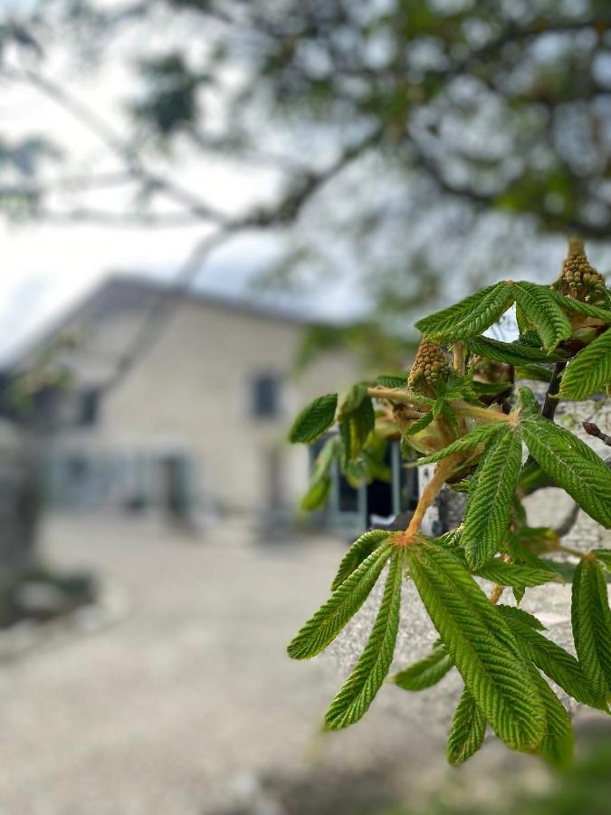 Bed and Breakfast Figtrees Margueron Экстерьер фото